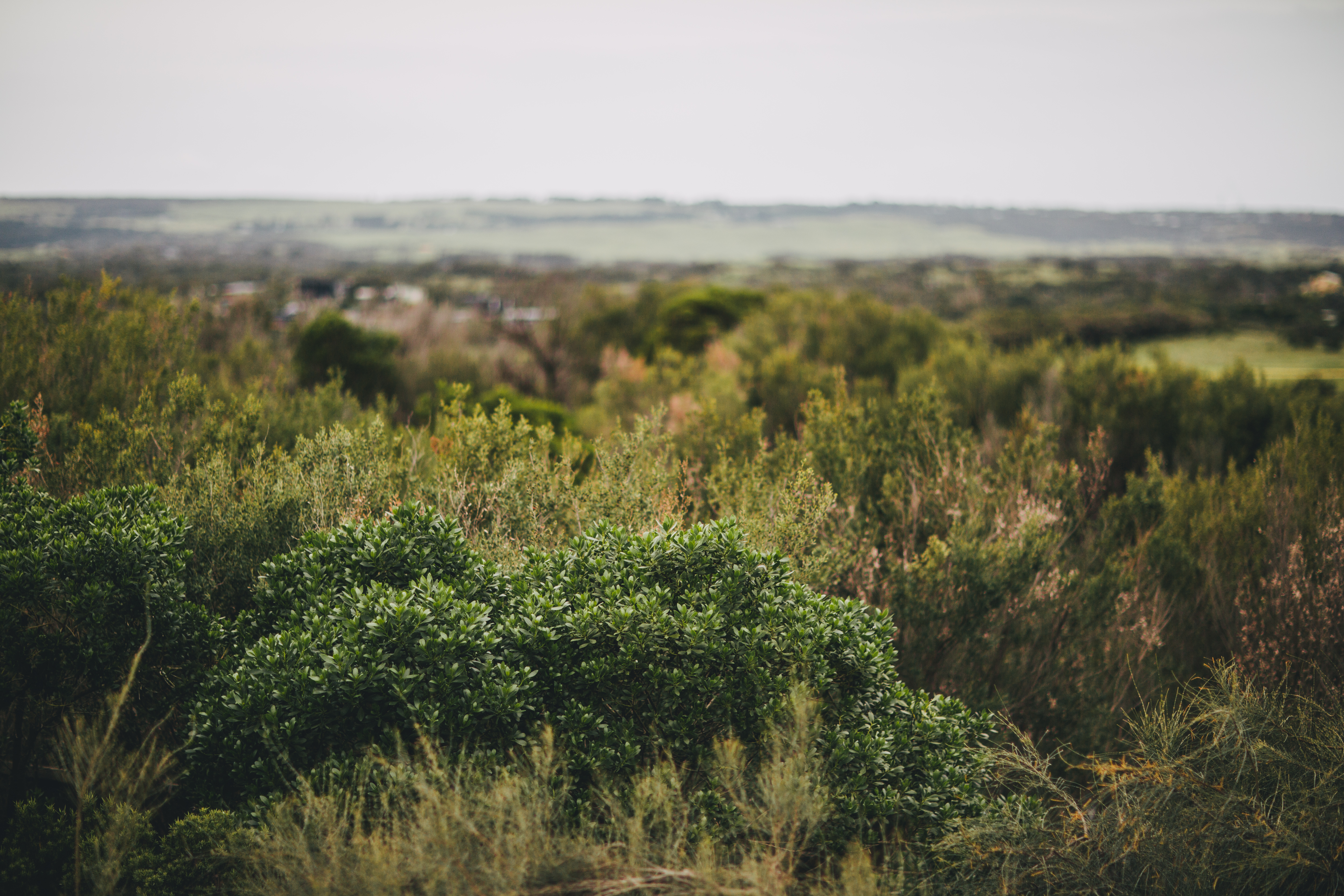 nature-textures-landscape-29.jpg