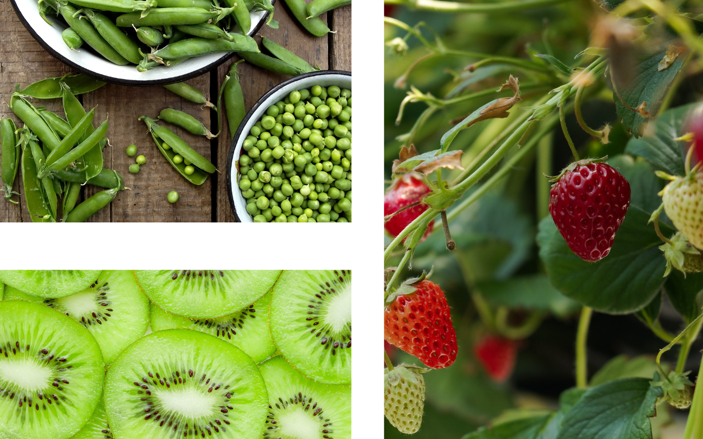 spring-wellness-edit-imagery.png