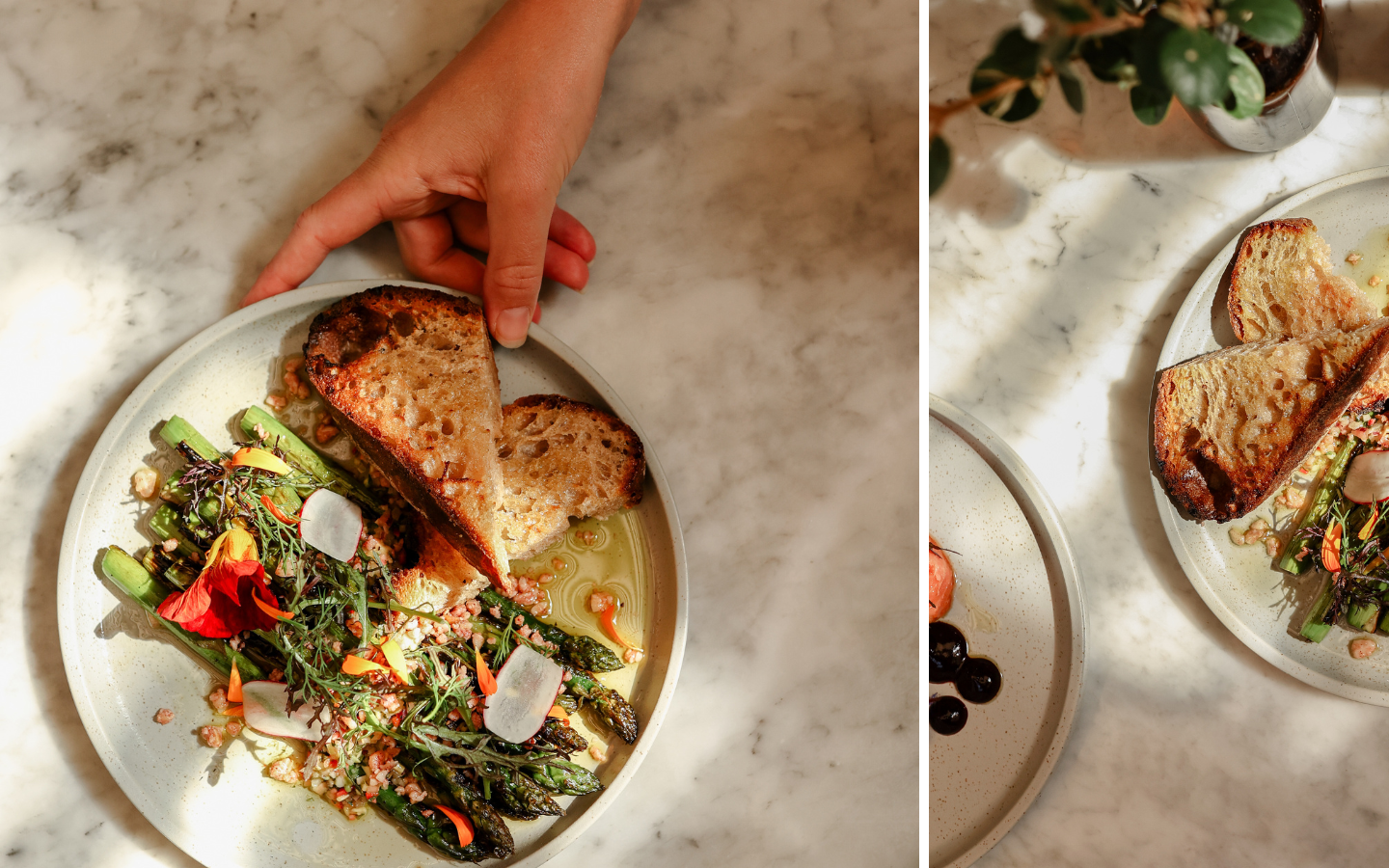 seasonal-dining.png